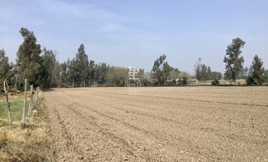 VENTA PARCELA 4 HA CAMINO SANTA ROSA, VILLA ALEGRE, MELIPILLA