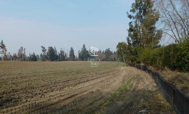 VENTA PARCELA 4 HA CAMINO SANTA ROSA, VILLA ALEGRE, MELIPILLA