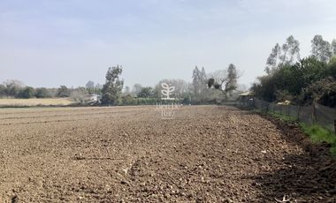 VENTA PARCELA 4 HA CAMINO SANTA ROSA, VILLA ALEGRE, MELIPILLA