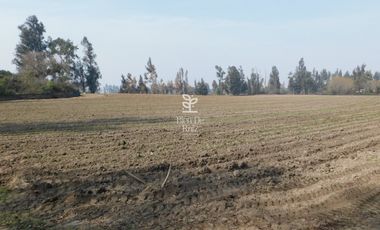 VENTA PARCELA 4 HA CAMINO SANTA ROSA, VILLA ALEGRE, MELIPILLA