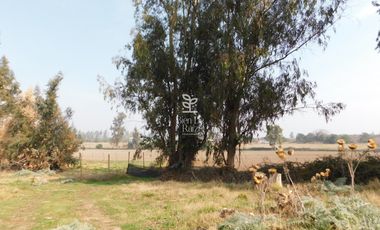 VENTA PARCELA 4 HA CAMINO SANTA ROSA, VILLA ALEGRE, MELIPILLA