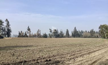 VENTA PARCELA 4 HA CAMINO SANTA ROSA, VILLA ALEGRE, MELIPILLA