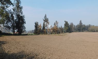 VENTA PARCELA 4 HA CAMINO SANTA ROSA, VILLA ALEGRE, MELIPILLA