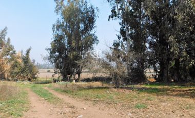 VENTA PARCELA 4 HA CAMINO SANTA ROSA, VILLA ALEGRE, MELIPILLA