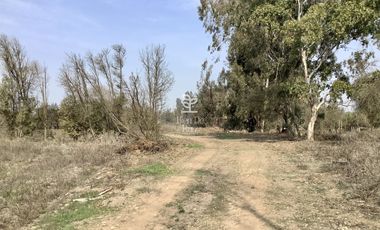 VENTA PARCELA 4 HA CAMINO SANTA ROSA, VILLA ALEGRE, MELIPILLA