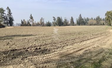 VENTA PARCELA 4 HA CAMINO SANTA ROSA, VILLA ALEGRE, MELIPILLA
