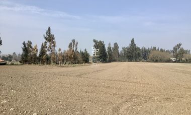 VENTA PARCELA 4 HA CAMINO SANTA ROSA, VILLA ALEGRE, MELIPILLA