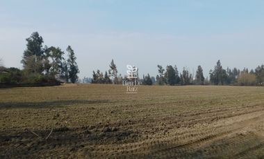VENTA PARCELA 4 HA CAMINO SANTA ROSA, VILLA ALEGRE, MELIPILLA