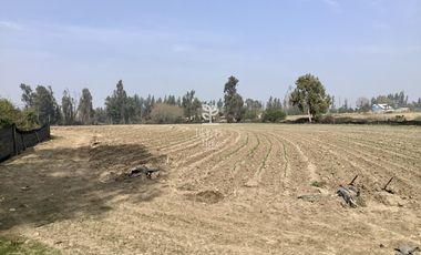 VENTA PARCELA 4 HA CAMINO SANTA ROSA, VILLA ALEGRE, MELIPILLA