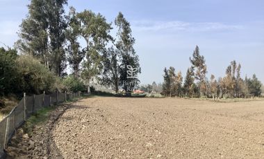 VENTA PARCELA 4 HA CAMINO SANTA ROSA, VILLA ALEGRE, MELIPILLA