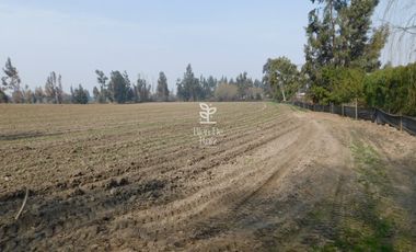 VENTA PARCELA 4 HA CAMINO SANTA ROSA, VILLA ALEGRE, MELIPILLA