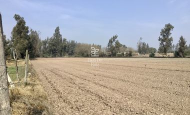 VENTA PARCELA 4 HA CAMINO SANTA ROSA, VILLA ALEGRE, MELIPILLA