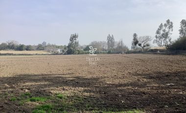 VENTA PARCELA 4 HA CAMINO SANTA ROSA, VILLA ALEGRE, MELIPILLA