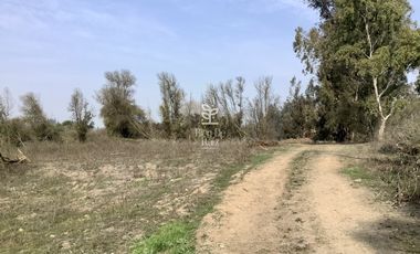 VENTA PARCELA 4 HA CAMINO SANTA ROSA, VILLA ALEGRE, MELIPILLA