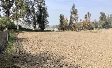 VENTA PARCELA 4 HA CAMINO SANTA ROSA, VILLA ALEGRE, MELIPILLA