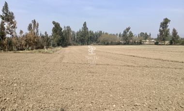VENTA PARCELA 4 HA CAMINO SANTA ROSA, VILLA ALEGRE, MELIPILLA