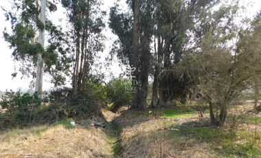 VENTA PARCELA 4 HA CAMINO SANTA ROSA, VILLA ALEGRE, MELIPILLA
