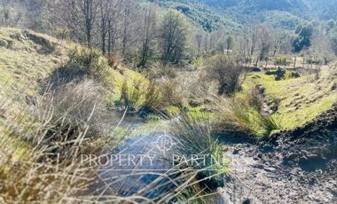 Gran terreno de 6 hectáreas con acceso a río en Panqui, Curarrehue