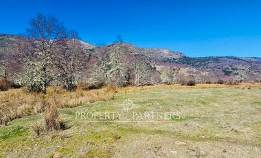 Gran terreno de 6 hectáreas con acceso a río en Panqui, Curarrehue