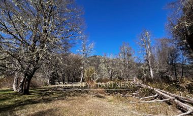 Gran terreno de 6 hectáreas con acceso a río en Panqui, Curarrehue