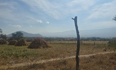Terreno en venta de una hectárea en Lomas de Tejeda, Tlajomulco, Jalisco