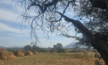 Terreno en venta de una hectárea en Lomas de Tejeda, Tlajomulco, Jalisco