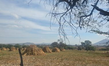Terreno en venta de una hectárea en Lomas de Tejeda, Tlajomulco, Jalisco
