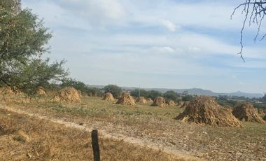 Terreno en venta de una hectárea en Lomas de Tejeda, Tlajomulco, Jalisco