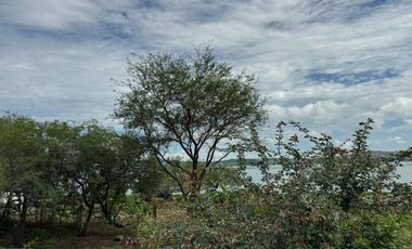 Terreno Zona Club Campestre Cajititlán