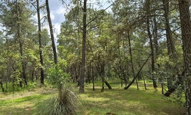 TERRENO A LA VENTA EN TAPALPA