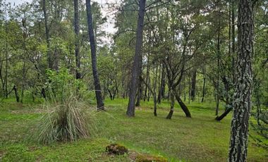 TERRENO A LA VENTA EN TAPALPA