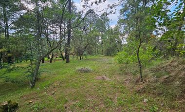 TERRENO A LA VENTA EN TAPALPA