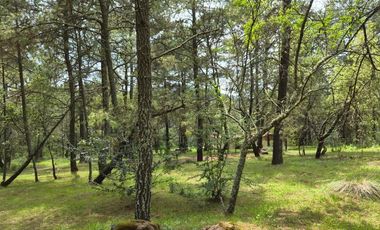TERRENO A LA VENTA EN TAPALPA