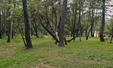 TERRENO A LA VENTA EN TAPALPA