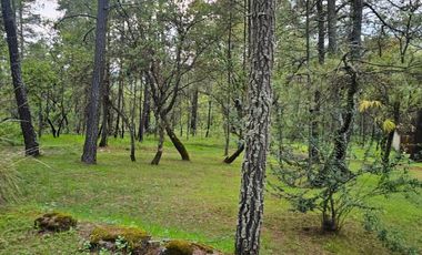 TERRENO A LA VENTA EN TAPALPA