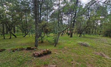 TERRENO A LA VENTA EN TAPALPA