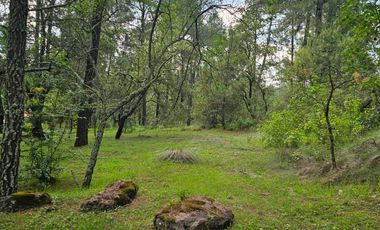 TERRENO A LA VENTA EN TAPALPA