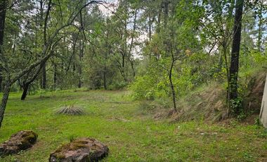 TERRENO A LA VENTA EN TAPALPA