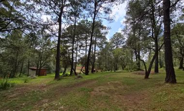 TERRENO A LA VENTA EN TAPALPA