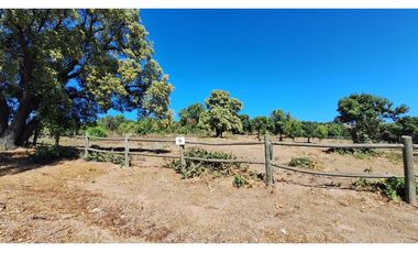 VIVE LA TRANQUILIDAD DEL VALLE