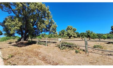 VIVE LA TRANQUILIDAD DEL VALLE