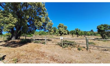 VIVE LA TRANQUILIDAD DEL VALLE