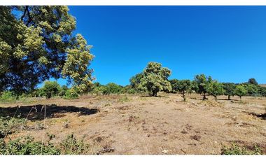 VIVE LA TRANQUILIDAD DEL VALLE