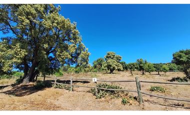 VIVE LA TRANQUILIDAD DEL VALLE