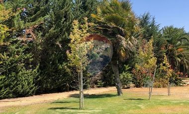 Arriendo casa en Ma. Pinto - Enero 2026