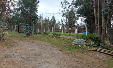 FOCOLARE PROPIEDADES ARRIENDA PARCELA EN LEYDA