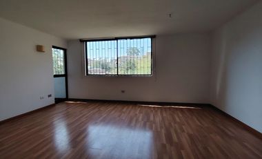 FANTASTICO DEPTO VENTA LEWELLYN JONES / E. YAÑEZ