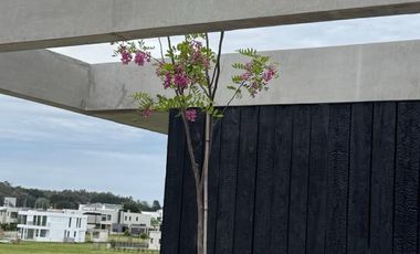 Casa - Rumencó Joven