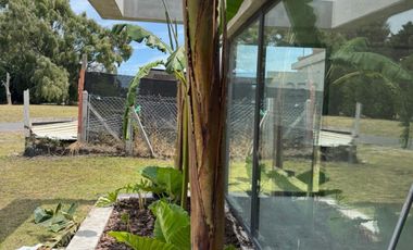 Casa - Rumencó Joven