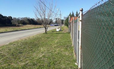 Terreno - Carlos Spegazzini